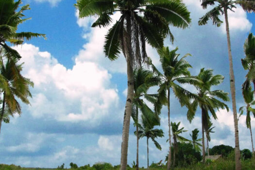 Prime Land Next to the Coast