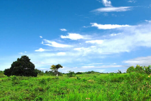 Prime Land Next to the Coast