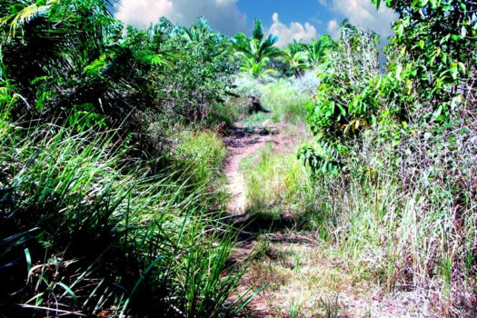Prime Land Next to the Coast