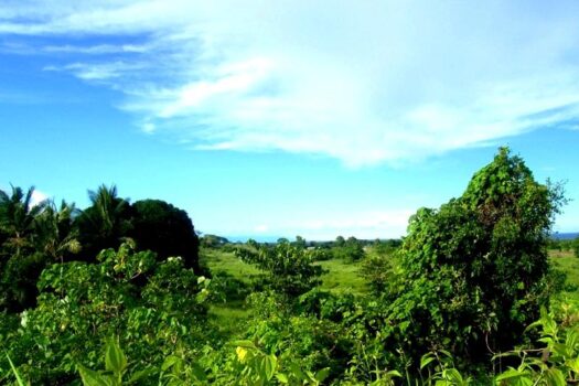 Favorable Potential in this Leisure Estate