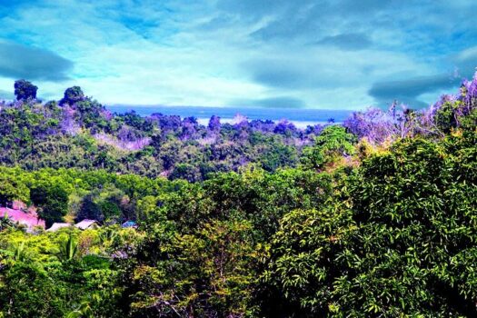 Puerto Princesa City, Palawan – Superior Leisure Farm with Ocean View