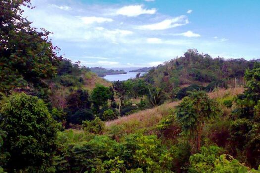 Puerto Princesa City, Palawan – Superior Leisure Farm with Ocean View
