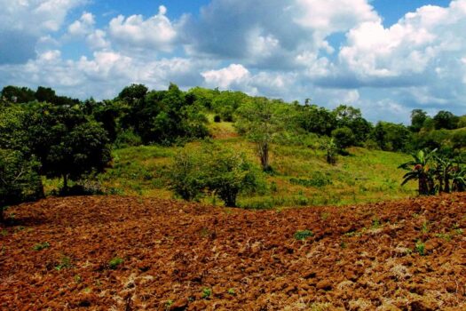 Puerto Princesa City, Palawan – Superior Leisure Farm with Ocean View