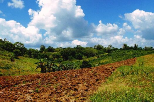 Puerto Princesa City, Palawan – Superior Leisure Farm with Ocean View