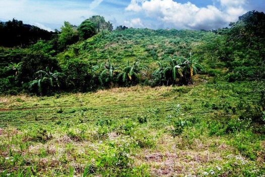 Puerto Princesa City, Palawan – Superior Leisure Farm with Ocean View