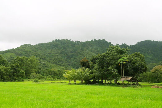 Productive Farmland with Stunning Views