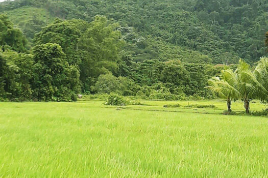 Productive Farmland with Stunning Views