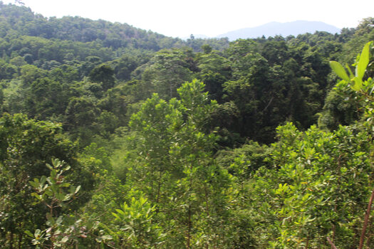 Exclusive Mix-Use Estate for Development
