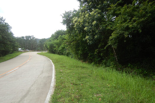 Exclusive Mix-Use Estate for Development