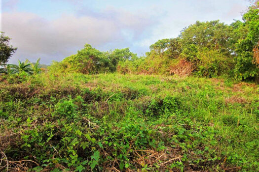Overlooking Agricultural Estate with Boundless Potential