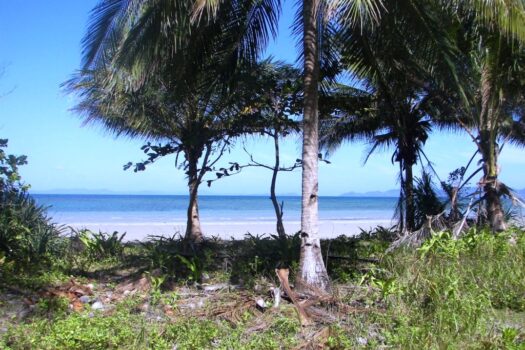 Inclusive White Sand Sunrise Beachfront
