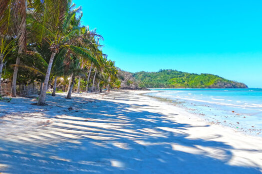 Inclusive White Sand Sunrise Beachfront