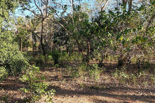 Residential Parcel Near Beach with Road