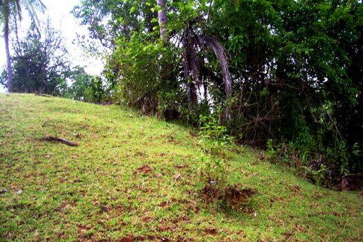 An Extraordinary Opportunity Along National Highway
