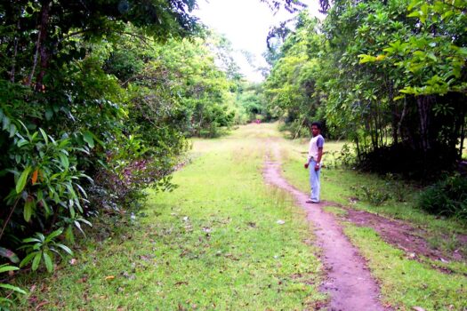 An Extraordinary Opportunity Along National Highway