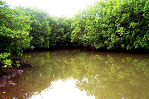 An Extraordinary Opportunity Along National Highway