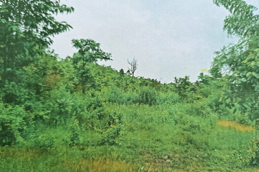 Prime Residential Land with 8 Subdivided Lots in Puerto Princesa
