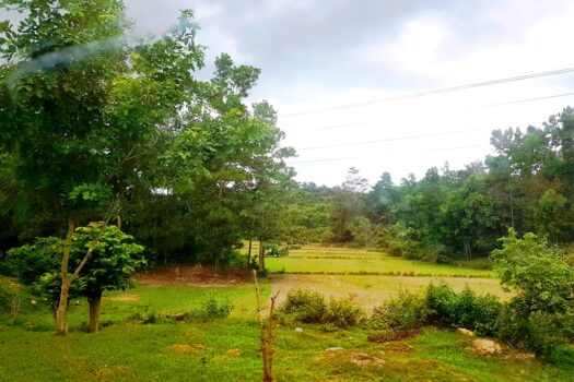 Choice Residential Estate Along Nat’l Highway