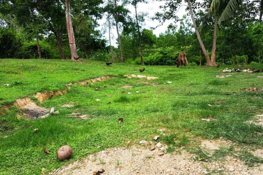 Choice Residential Estate Along Nat’l Highway