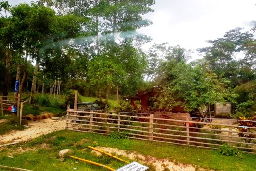 Choice Residential Estate Along Nat’l Highway