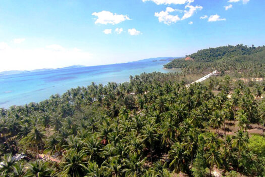 Prime Residential Estate Near the Beach and Airport