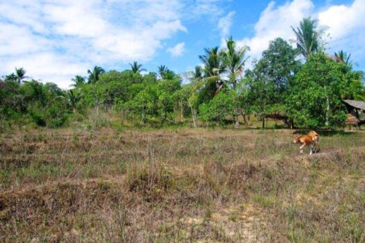 Homestead Estate for Peaceful Living