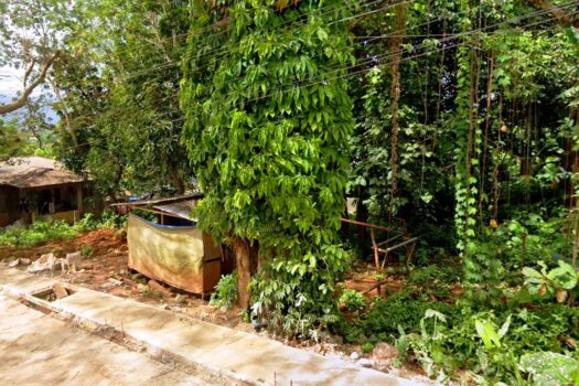 Prime Residential Estate for Development