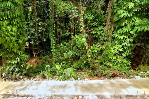 Prime Residential Estate for Development