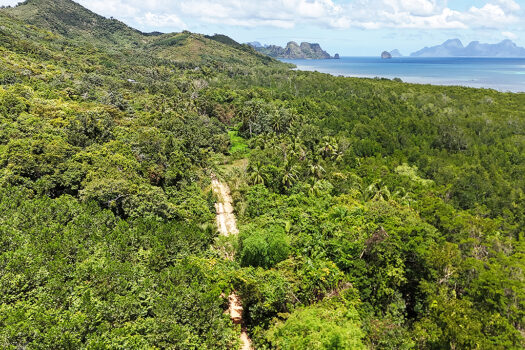 Fertile Homestead Estate with Overlooking Views