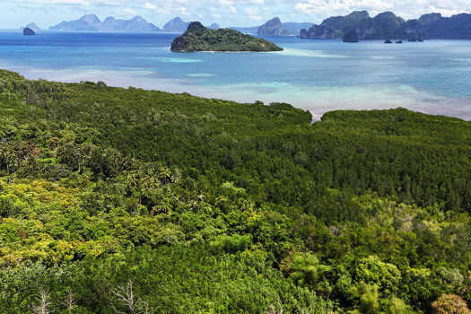 Fertile Homestead Estate with Overlooking Views