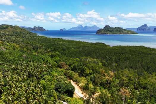 Fertile Homestead Estate with Overlooking Views