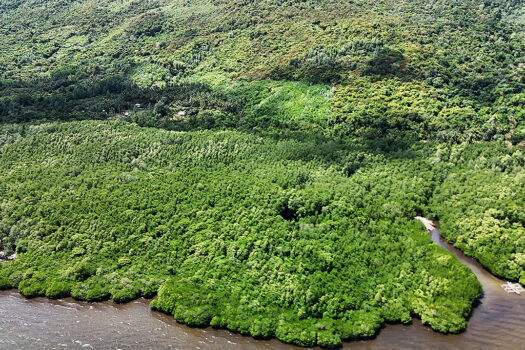 Fertile Homestead Estate with Overlooking Views