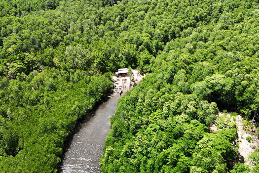Fertile Homestead Estate with Overlooking Views