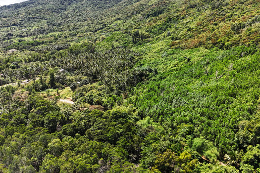 Fertile Homestead Estate with Overlooking Views