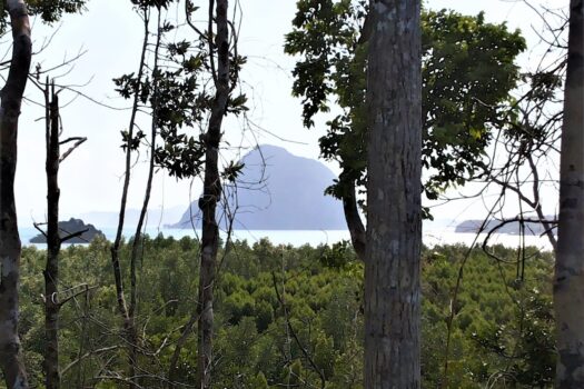 Bacuit Bay, Seashore Estate: Potential for New Commercial Site