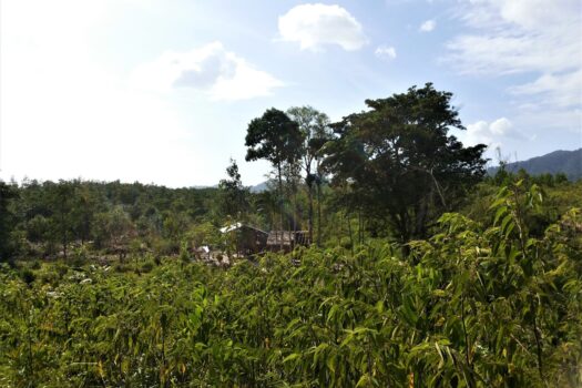 Bacuit Bay, Seashore Estate: Potential for New Commercial Site