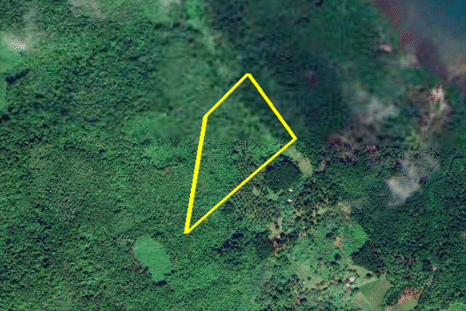 Fertile Homestead Estate with Overlooking Views