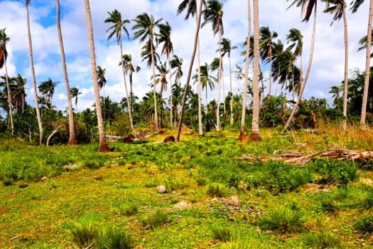 Residential Estate with Tourism Potential next to Long Beach