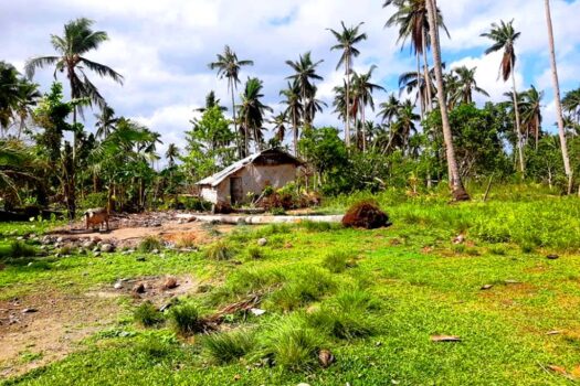 Residential Estate with Tourism Potential next to Long Beach