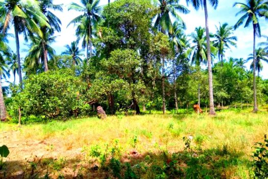 Residential Estate with Tourism Potential next to Long Beach