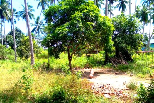 Residential Estate with Tourism Potential next to Long Beach