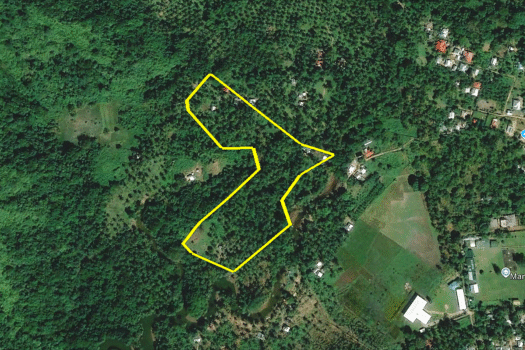 Estate for Productive Land Development