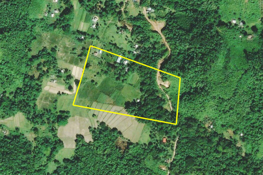 Shangri-la Homestead Estate Near Airport
