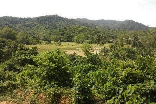 Shangri-la Homestead Estate Near Airport