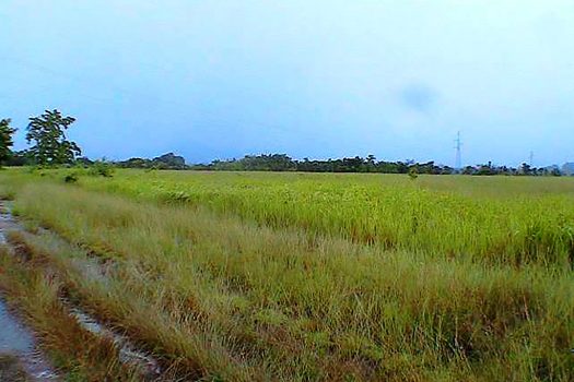 Considerable Estate Near a Growing Population