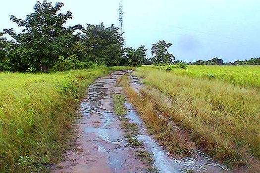 Considerable Estate Near a Growing Population