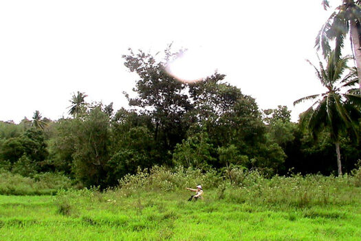 Expansive Estate for Residential Farming