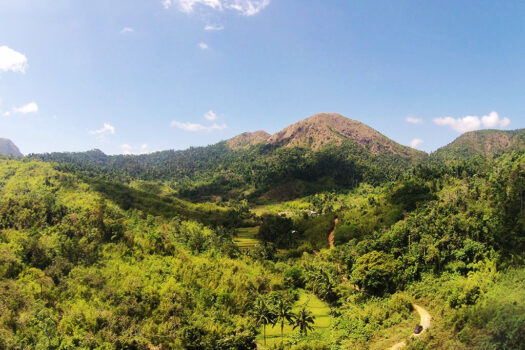 Overlooking Estate with Waterfall Sanctuary