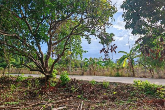 Residential Estate in an Upscale Neighborhood