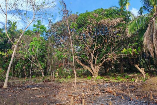 Residential Estate in an Upscale Neighborhood